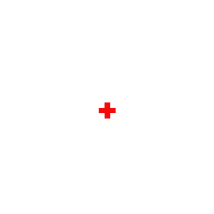 California United Aid Foundation Logo White
